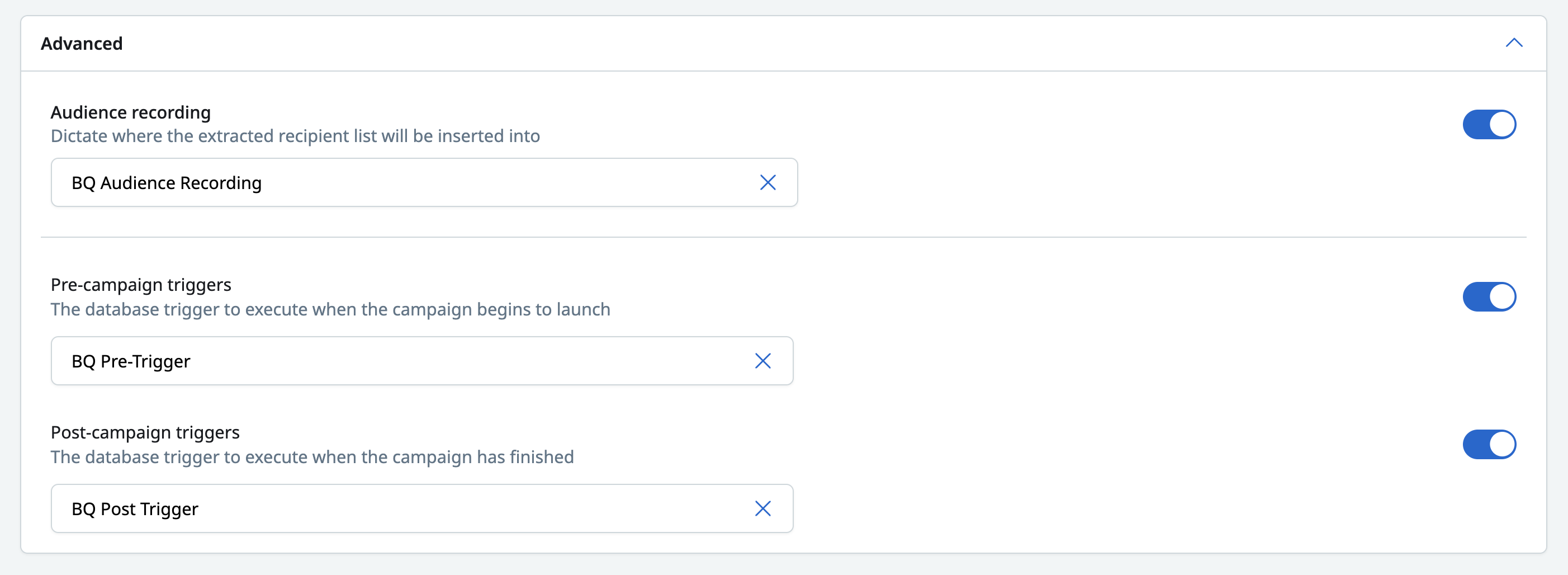 audience_advanced_options.png